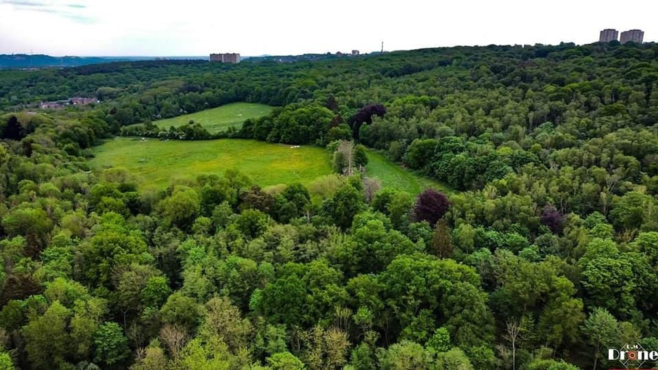 Les zones vertes du Val Saint-Lambert sont sauvées !